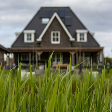 white and black house near to pond