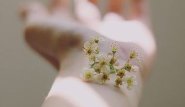 selective focus photography of white clustered flowers on left human hand