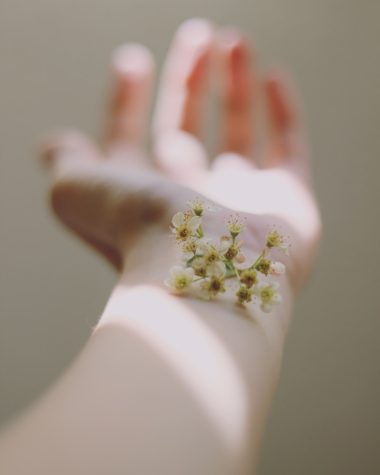 selective focus photography of white clustered flowers on left human hand